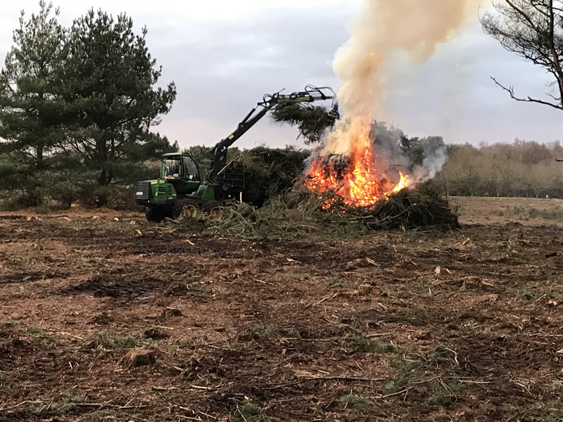 Save the Knettishall Trees